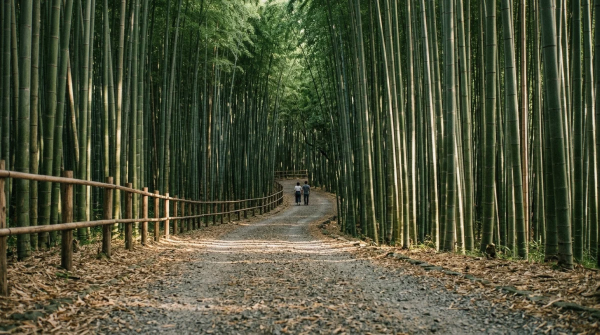 The bamboo path immediately north of Nonomiya Shrine in Arashiyama, Kyoto